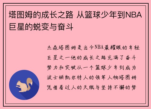 塔图姆的成长之路 从篮球少年到NBA巨星的蜕变与奋斗